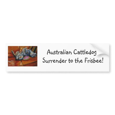 ACD's surrender only to the frisbee Bumper Sticker by hissnhowl
