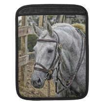 Ace a Rescue Horse iPad Sleeves