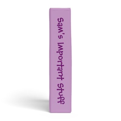Ace Attorney Chibi's 3 Ring Binders by AceAttorney
