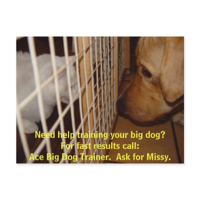 Ace Big Dog Trainer Postcard by myrtieshuman