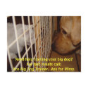 Ace Big Dog Trainer postcards by myrtieshuman Ace Big Dog Trainer postcards