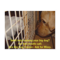 Ace Big Dog Trainer postcards