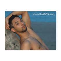 Aceboy Postcard