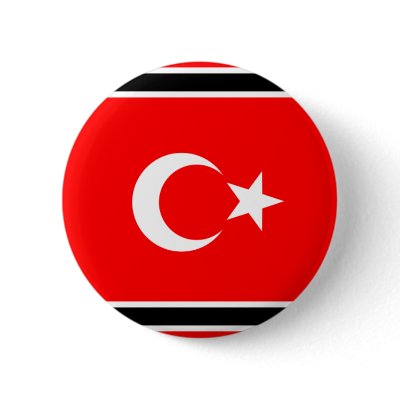 Aceh, Indonesia Pinback Button by bestflag
