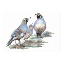 ACEO ATC California Quail Business Card