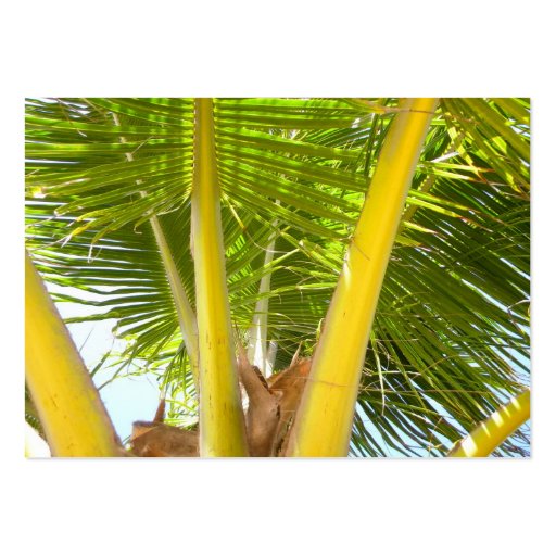 ACEO palm tree Business Card Templates (front side)
