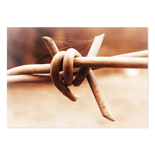 ACEO Sepia Barbed Wire Close Up Business Card Template