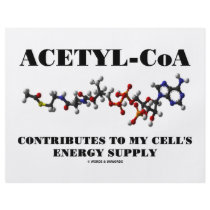Acetyl-CoA Contributes To My Cell's Energy Supply flyers by wordsunwords Acetyl-CoA Contributes To My Cell's Energy Supply flyers