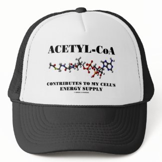 Acetyl-CoA Contributes To My Cell's Energy Supply hat