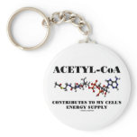 Acetyl-CoA Contributes To My Cell's Energy Supply Key Chains