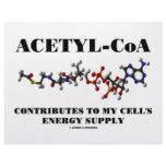Acetyl-CoA Contributes To My Cell's Energy Supply letterhead