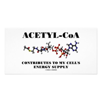 Acetyl-CoA Contributes To My Cell's Energy Supply Personalized Photo Card by wordsunwords