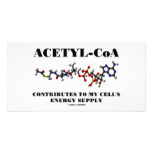 Acetyl-CoA Contributes To My Cell's Energy Supply Personalized Photo Card