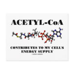 Acetyl-CoA Contributes To My Cell's Energy Supply Postcards