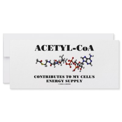 Acetyl-CoA Contributes To My Cell's Energy Supply Customized Rack Card by wordsunwords