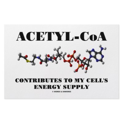 Acetyl-CoA Contributes To My Cell's Energy Supply Stationery Paper by wordsunwords