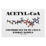 Acetyl-CoA Contributes To My Cell's Energy Supply stationery