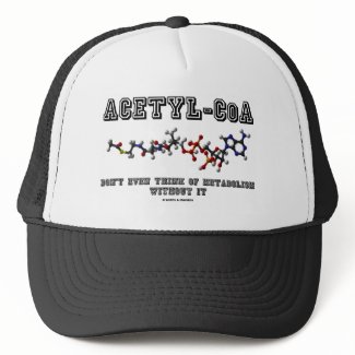 Acetyl-CoA Don't Even Think Of Metabolism Without hat