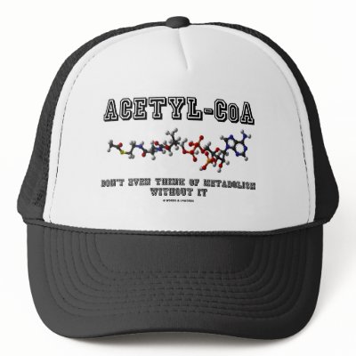 Acetyl-CoA Don't Even Think Of Metabolism Without Trucker Hats by wordsunwords