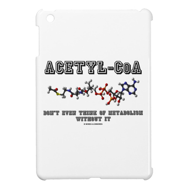 Acetyl-CoA Don't Even Think Of Metabolism Without iPad Mini Cases