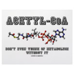 Acetyl-CoA Don't Even Think Of Metabolism Without letterhead