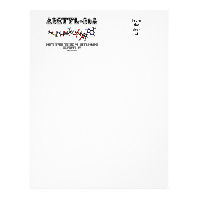 Acetyl-CoA Don't Even Think Of Metabolism Without Letterhead