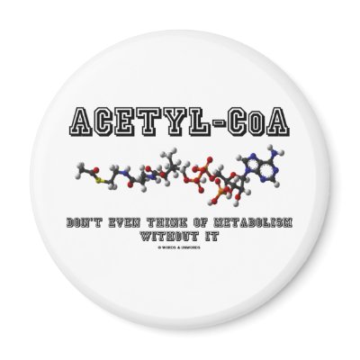 harvard university biochemistry exams on carbohydrate metabolism