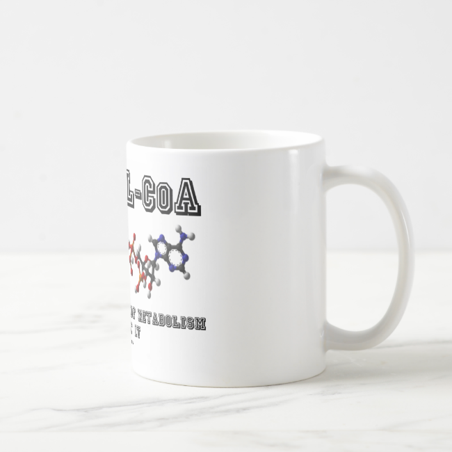 Acetyl-CoA Don't Even Think Of Metabolism Without Classic White Coffee Mug