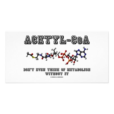 Acetyl-CoA Don't Even Think Of Metabolism Without Photo Greeting Card by wordsunwords