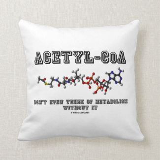 Acetyl-CoA Don't Even Think Of Metabolism Without Pillow