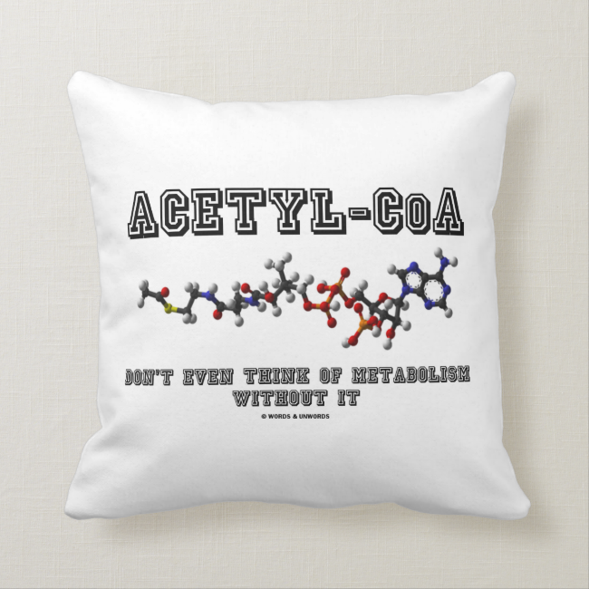 Acetyl-CoA Don't Even Think Of Metabolism Without Pillow