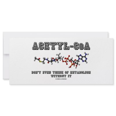 Acetyl-CoA Don't Even Think Of Metabolism Without Custom Rack Cards by wordsunwords