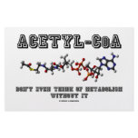 Acetyl-CoA Don't Even Think Of Metabolism Without stationery