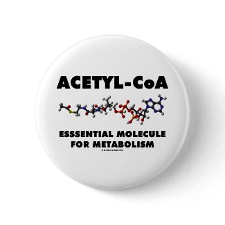 Acetyl-CoA Essential Molecule For Metabolism button