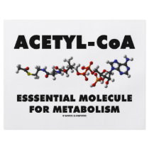 Acetyl-CoA Essential Molecule For Metabolism Full Color Flyer