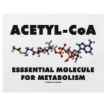 Acetyl-CoA Essential Molecule For Metabolism flyers