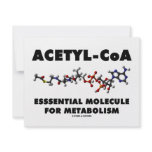 Acetyl-CoA Essential Molecule For Metabolism Invitations