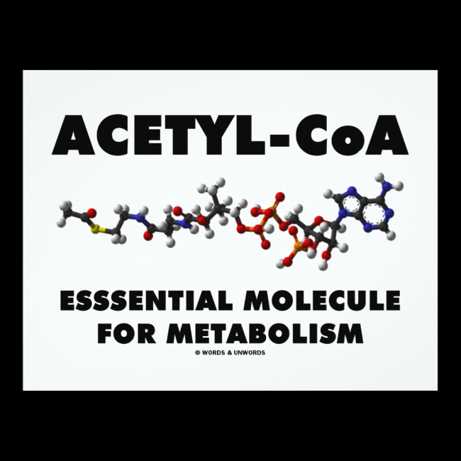 Acetyl-CoA Essential Molecule For Metabolism 4.25x5.5 Paper Invitation Card