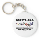 Acetyl-CoA Essential Molecule For Metabolism Key Chains