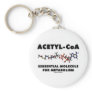 Acetyl-CoA Essential Molecule For Metabolism Key Chains