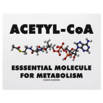 Acetyl-CoA Essential Molecule For Metabolism letterhead by wordsunwords Acetyl-CoA Essential Molecule For Metabolism letterhead
