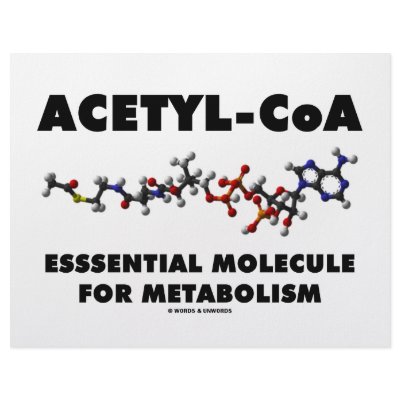 Acetyl-CoA Essential Molecule For Metabolism Customized Letterhead by wordsunwords
