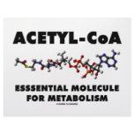 Acetyl-CoA Essential Molecule For Metabolism letterhead