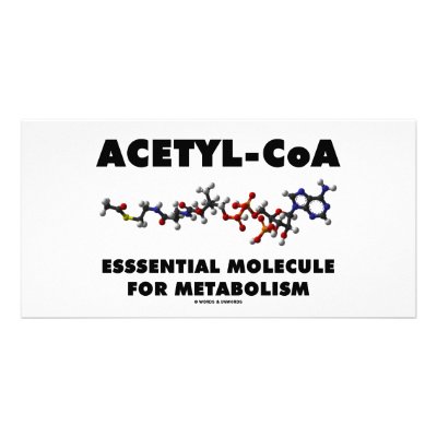 Acetyl-CoA Essential Molecule For Metabolism Photo Card by wordsunwords