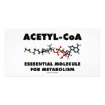 Acetyl-CoA Essential Molecule For Metabolism photo cards