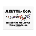 Acetyl-CoA Essential Molecule For Metabolism Post Cards