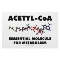 Acetyl-CoA Essential Molecule For Metabolism Customized Stationery