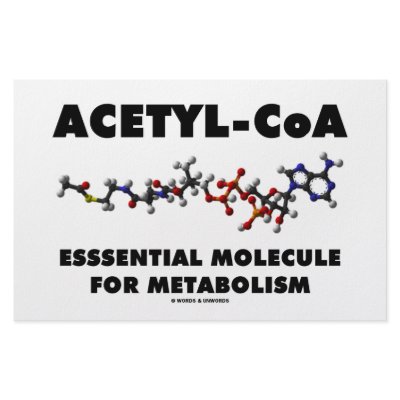 Acetyl-CoA Essential Molecule For Metabolism Customized Stationery by wordsunwords
