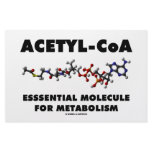 Acetyl-CoA Essential Molecule For Metabolism stationery