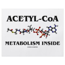 Acetyl-CoA Metabolism Inside (Chemical Molecule) flyers